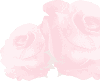 section-bgimage-layer3b Accesiilidad